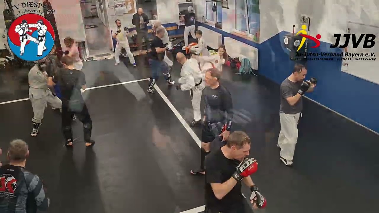 Landeslehrgang Ju-Jutsu Allkampf des Ju-Jutsu Verbandes Bayern mit Frank Witte in Diespeck 