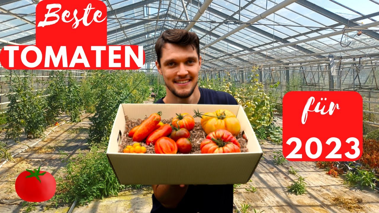 🍅 Tomatensorten im Test- Geschmack, Resistenz, Ernte Menge