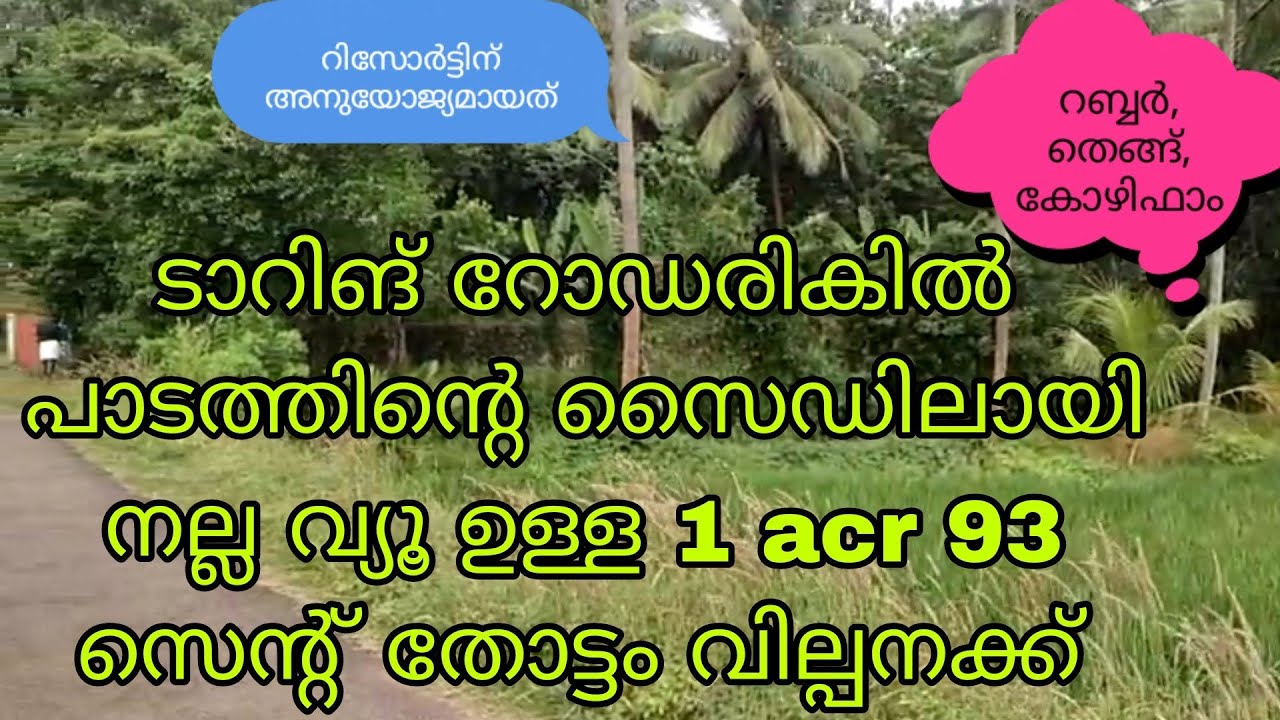 പാടത്തിന്റ സൈഡിലായി ടാറിങ് റോഡരികത്ത് നല്ല വ്യൂ ഉള്ള 1 acr 93 സെന്റ് തോട്ടം വില്പനക്ക്