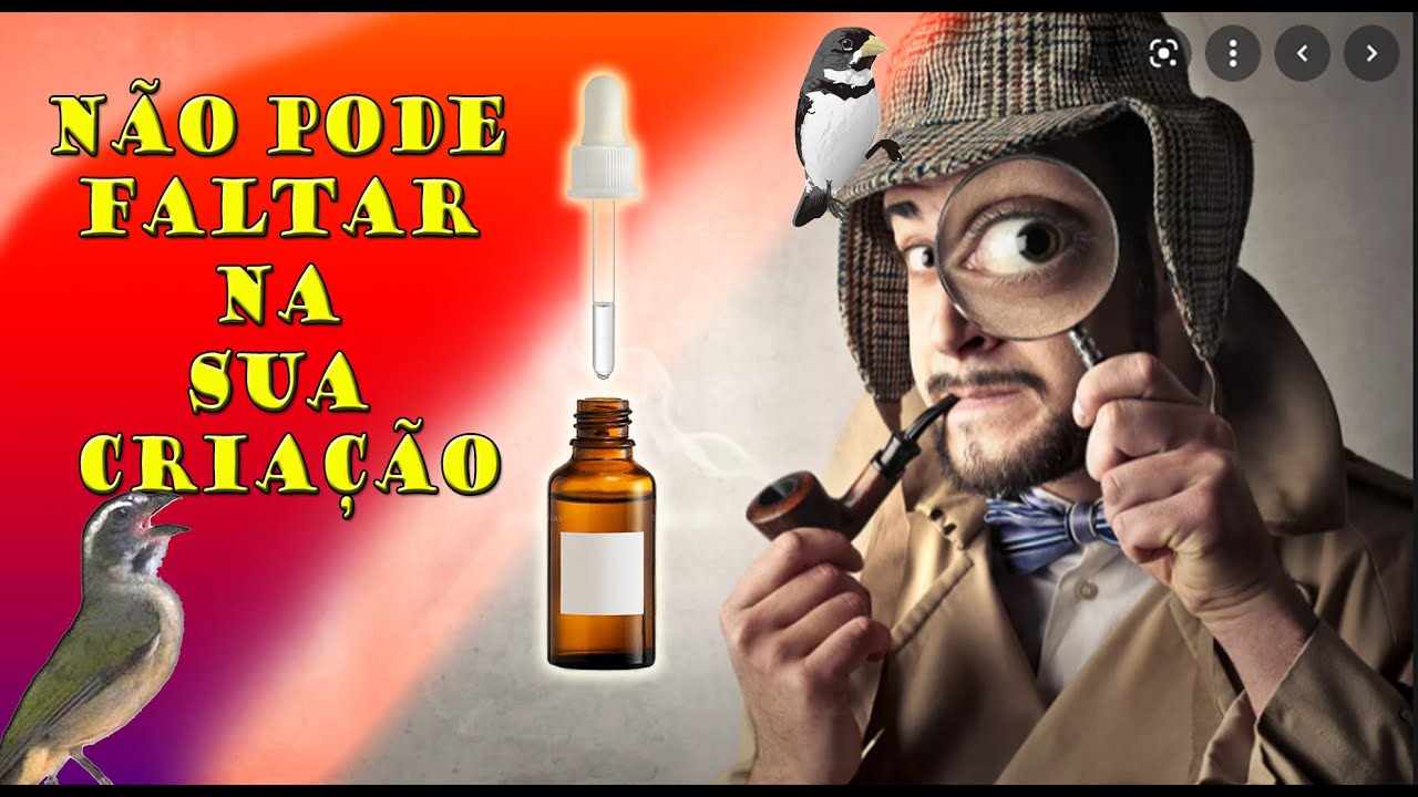 Super dica para a Chegada do Frio e mudanças de temperatura na criação de Trincas, Coleiros e aves