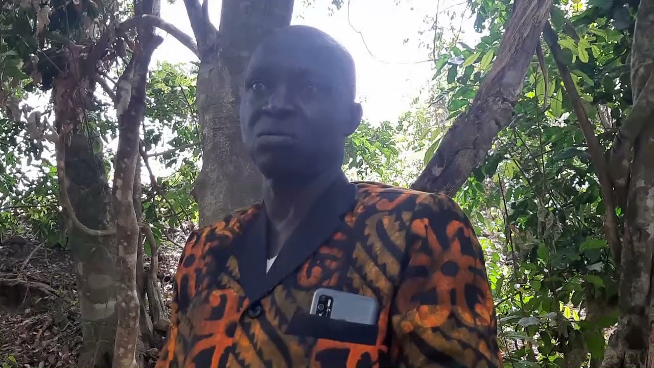 pour Espace Cinema Guin&eacute;e