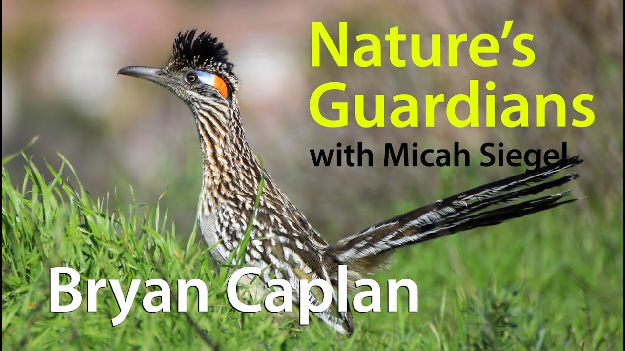 Bryan Caplan on animal rights and capitalism