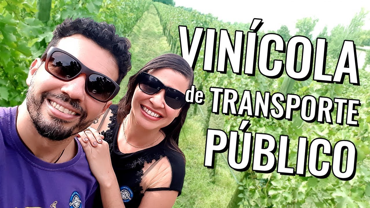 Viagem econômica Santiago do Chile: como visitar vinícolas de transporte público?