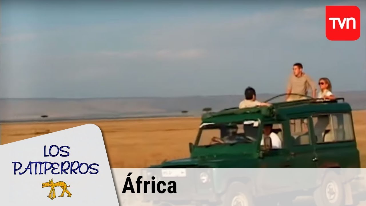 África: El lugar de los sueños | Patiperros - T1E8 | Buenos días a todos
