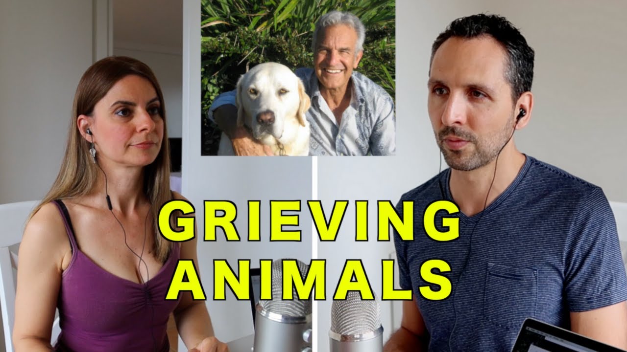 GRIEVING OUR COMPANION ANIMALS with New York Times Best Selling Author Jeffrey Masson