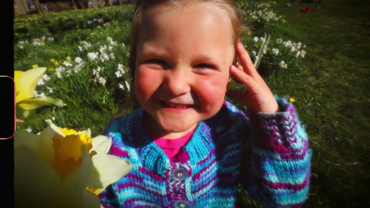 Steve Elci and Friends - Daffodil Girl