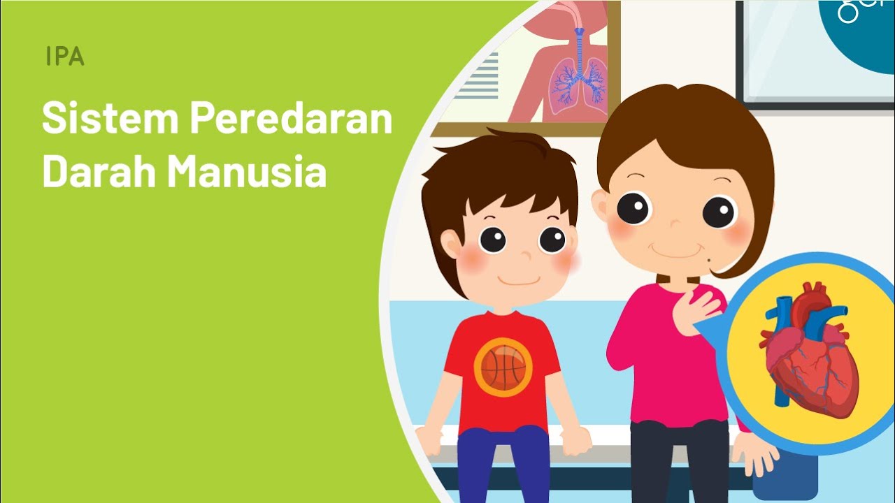 Sistem Peredaran Darah Pada Tubuh Manusia | IPA | SayaBisa