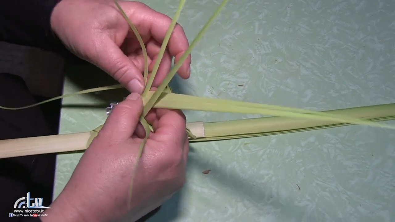 Come si intreccia una Palma a doppia foglia - how to make a palm - Spiegazione di Petronilla Insana