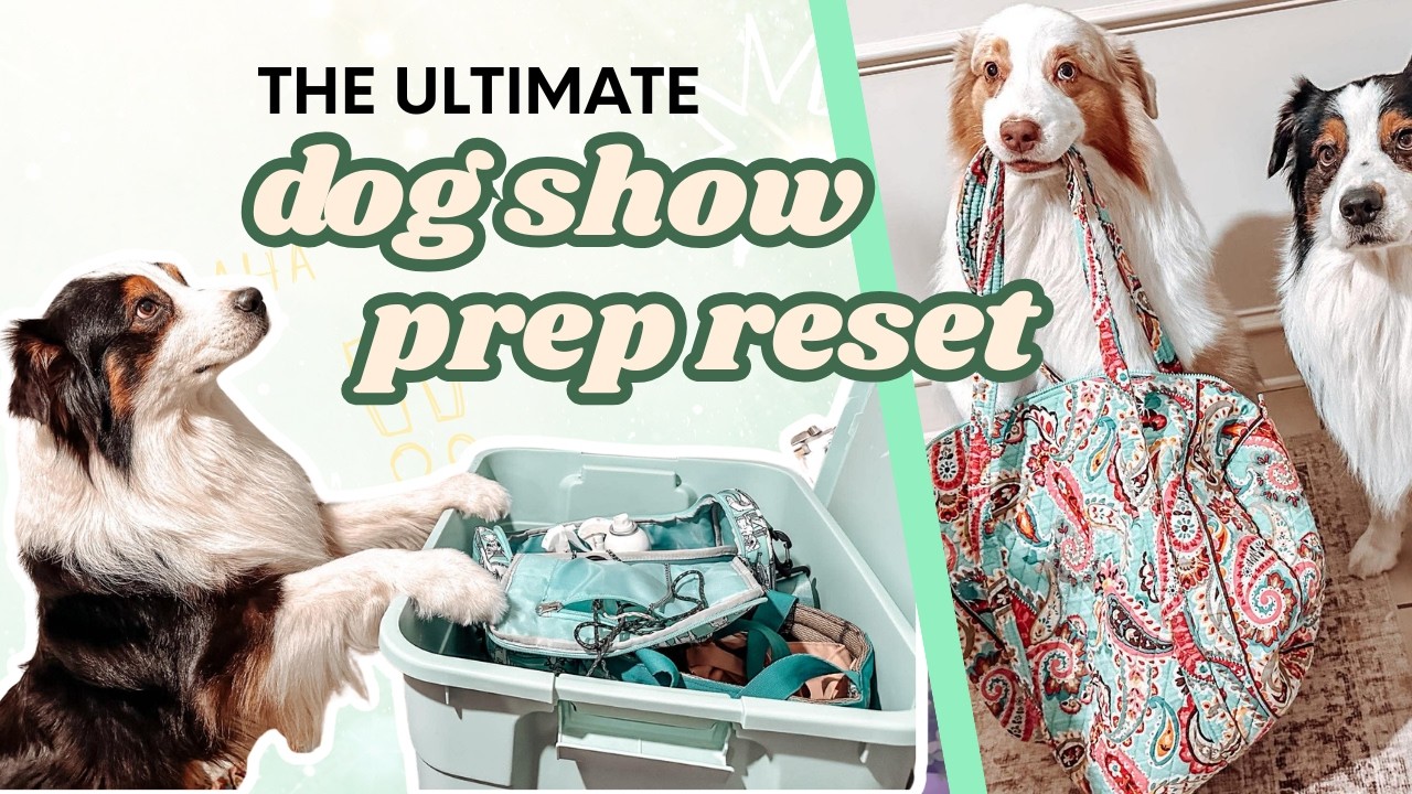The Ultimate Dog Show Prep Reset | 2026 Season
