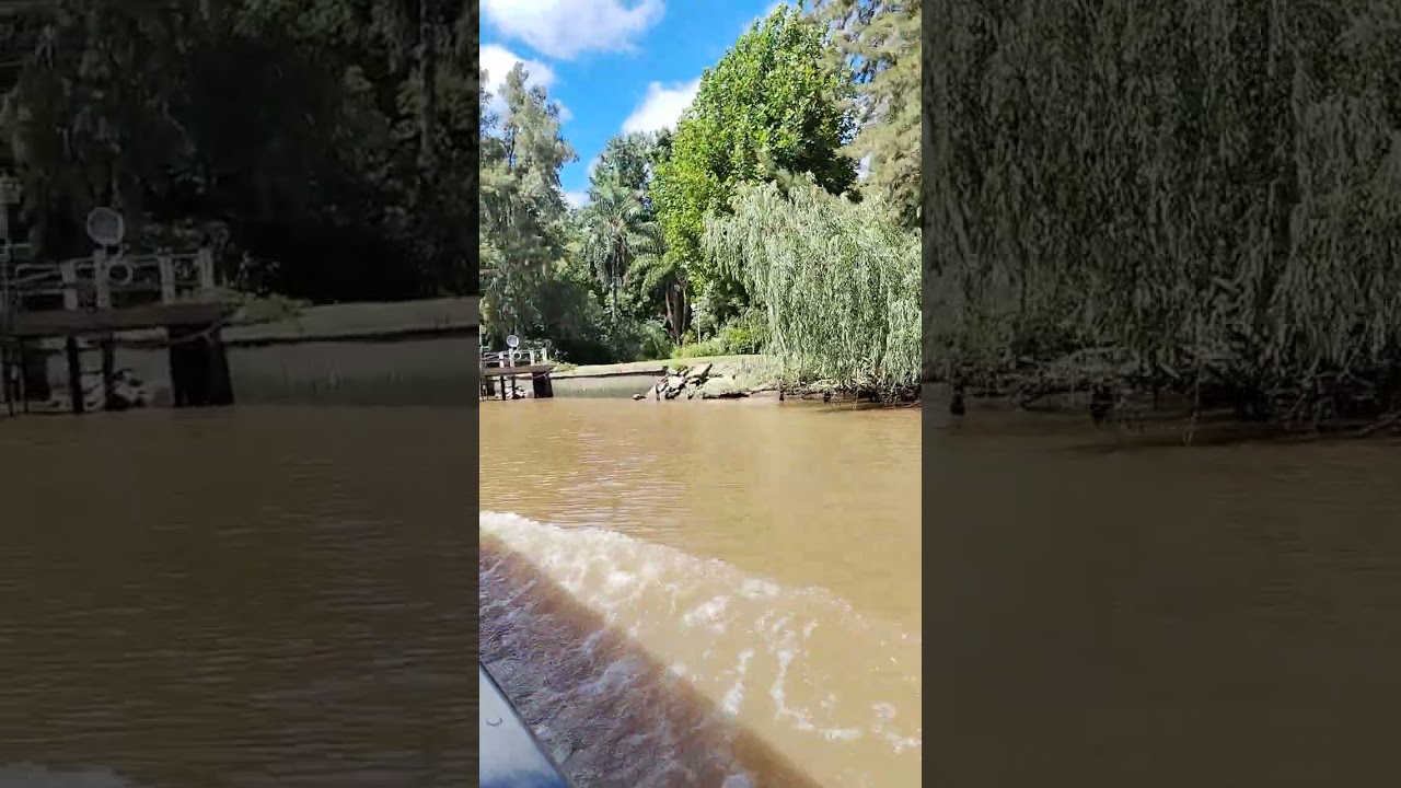 Un paseo por el Delta