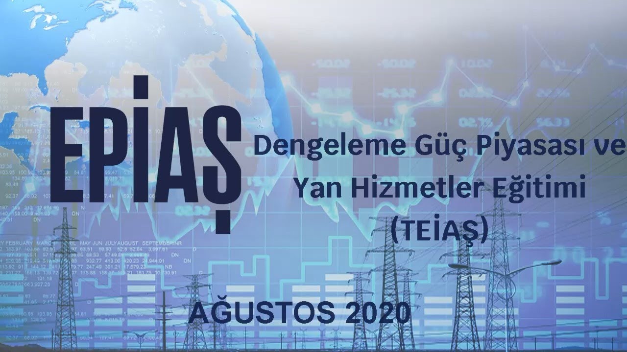 Dengeleme Güç Piyasası ve Yan Hizmetler Eğitimi (TEİAŞ)