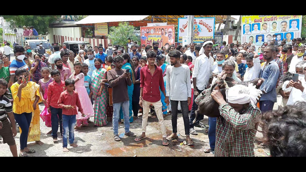 Nizamabad oora pandaga celebrations/ 2021/ indranichannel