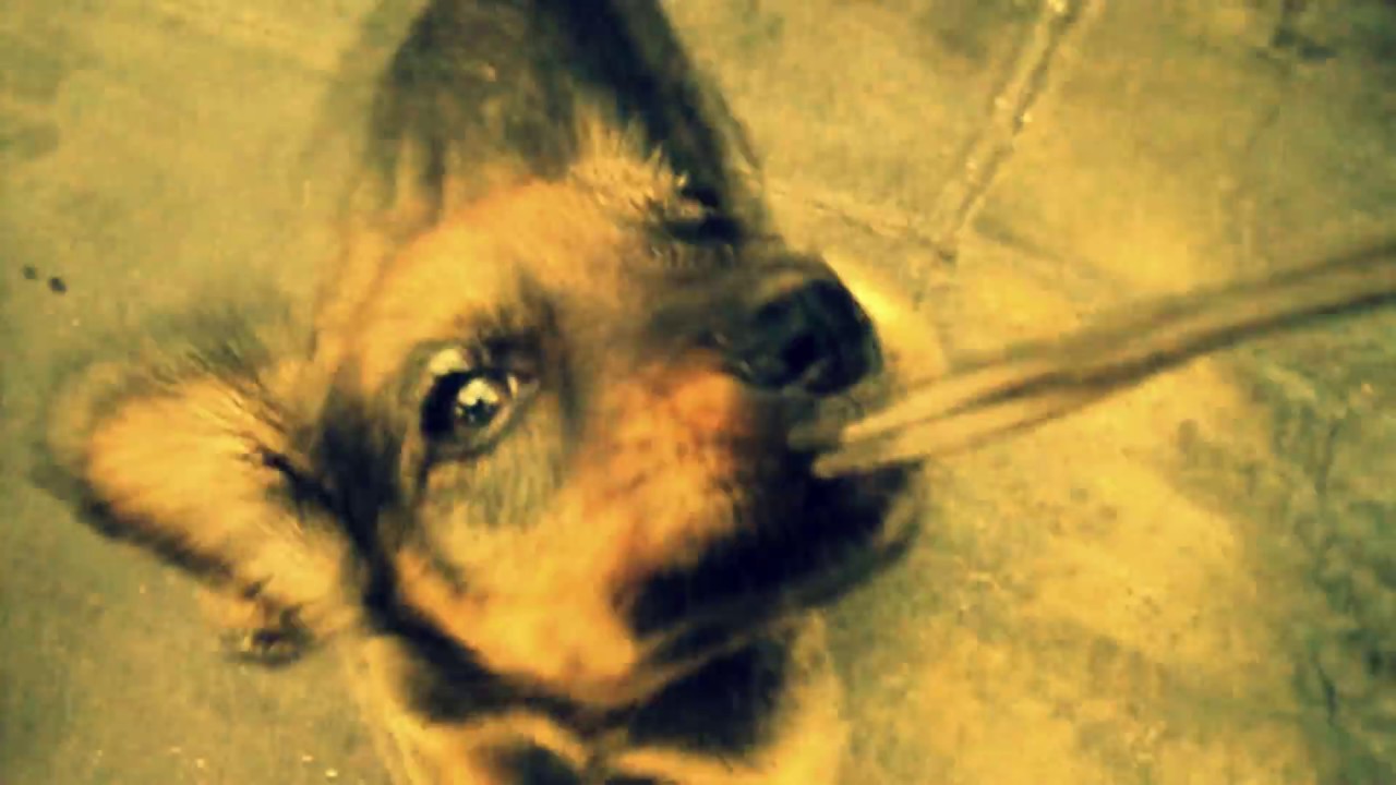 Paracas - Buena Chaplin | Hemisferio Sur (Documental)