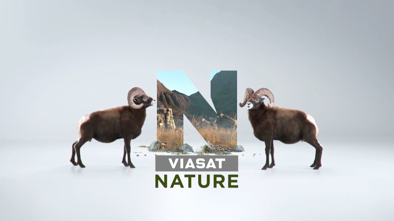Viasat Nature arculatválogatás - 2025.12.18.