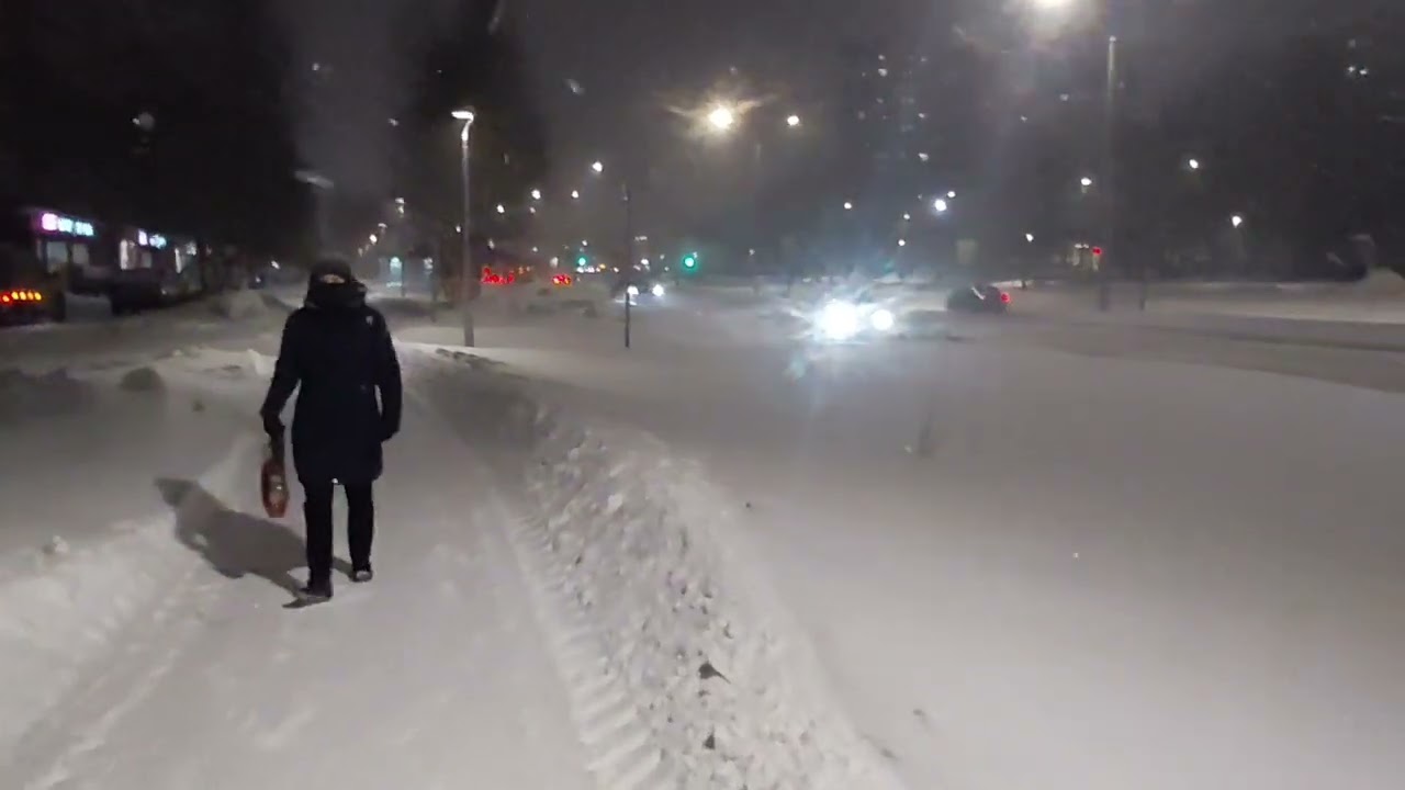 Юрий  Шатуновlснежинки 