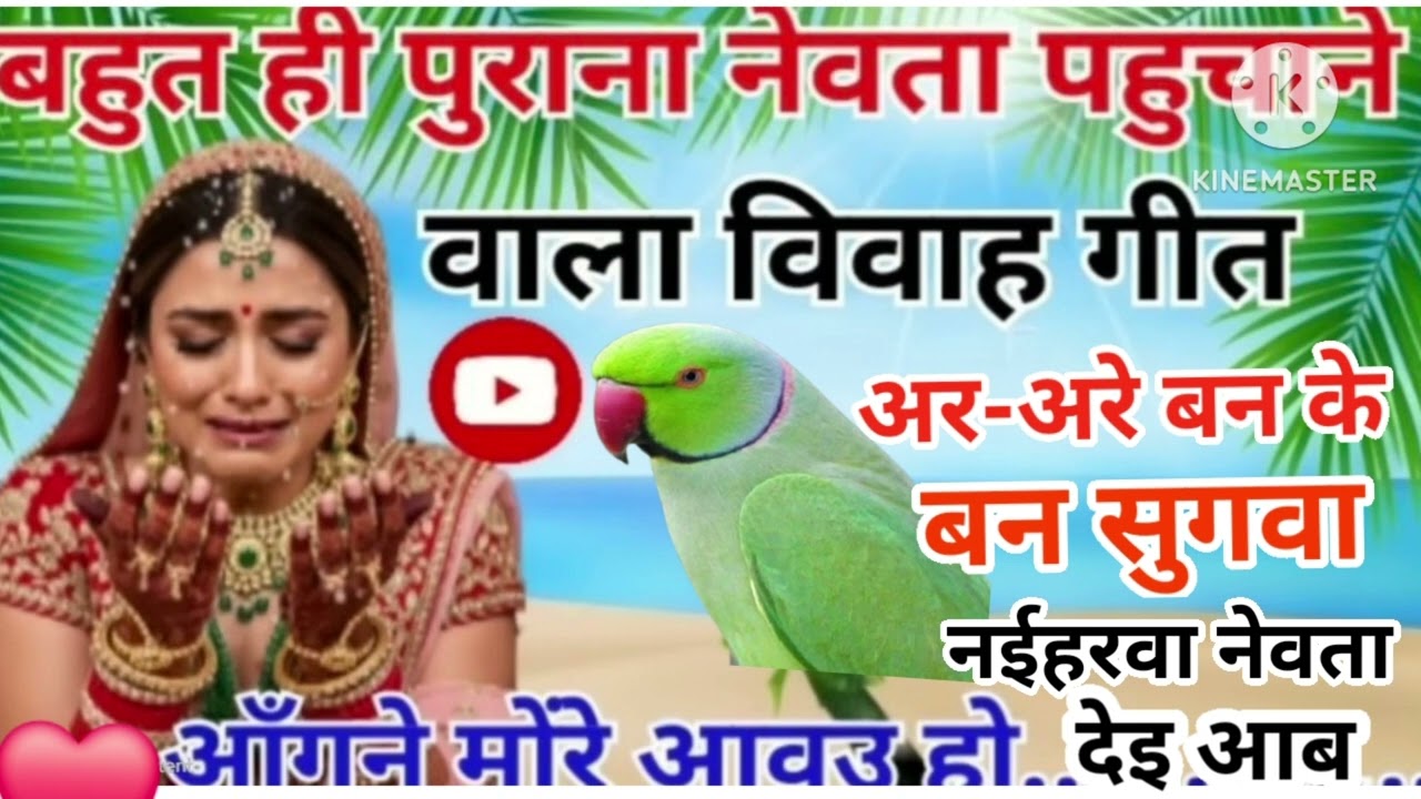 विवाह गीत। 🔥 बहुत ही पुराना नेवता भेजने वाला विवाह गीत | अरे अरे बानके बनसुगवा | लेटेस्ट विवाह गीत 