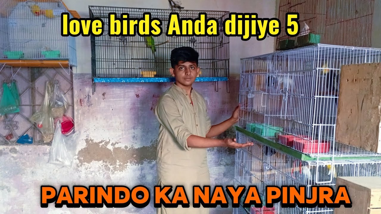 White Pahadi ke Latino Ne Panch Anda Diye🥰