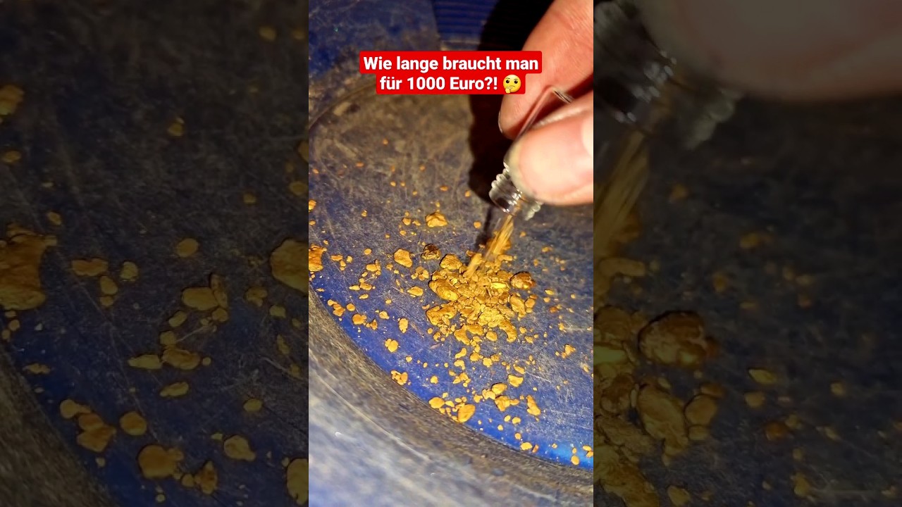 Wie lange braucht man um 1000 &euro; Gold zu finden?! 😮💰 #goldwaschen #gold #highbanker #goldsuchen