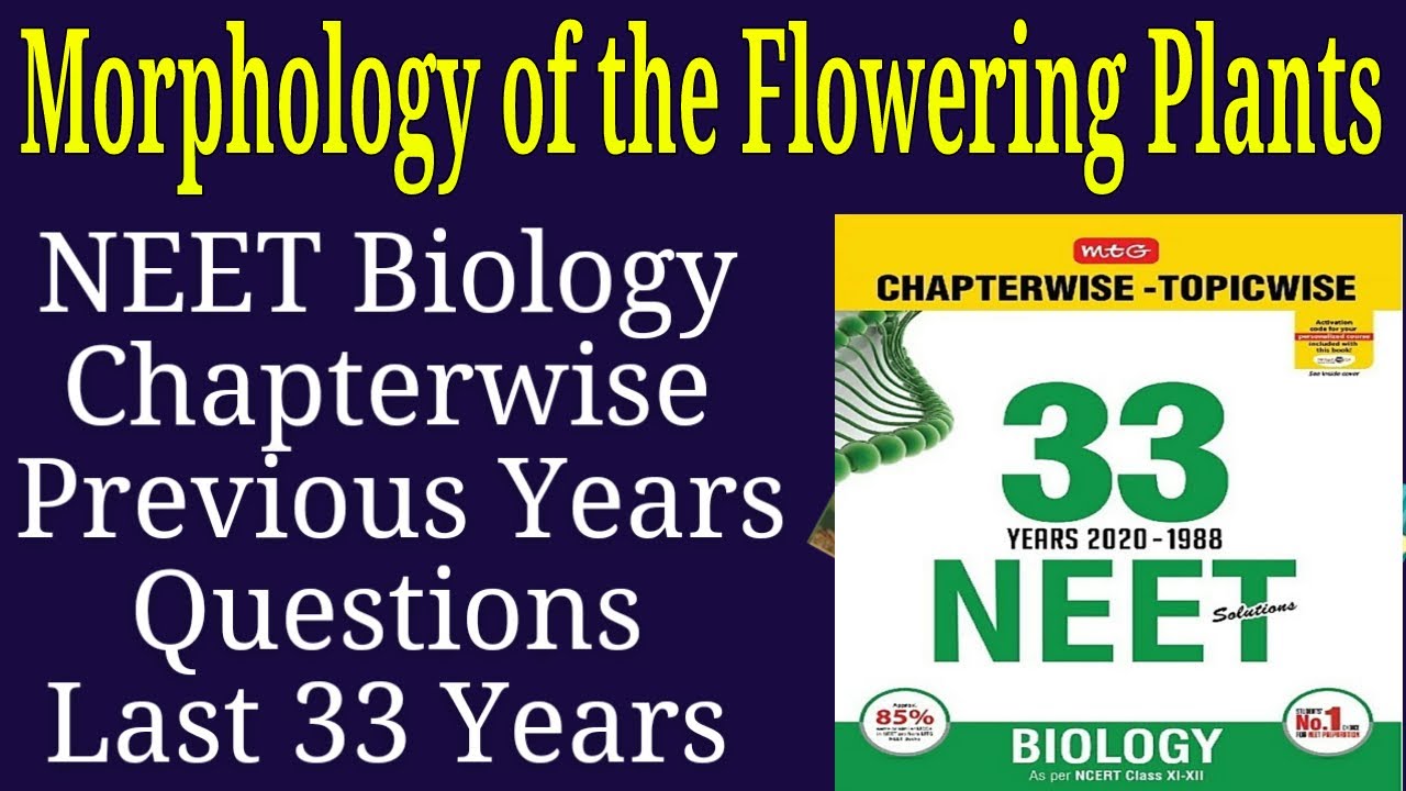 Morphology of flowering plants class 11 neet previous year questions