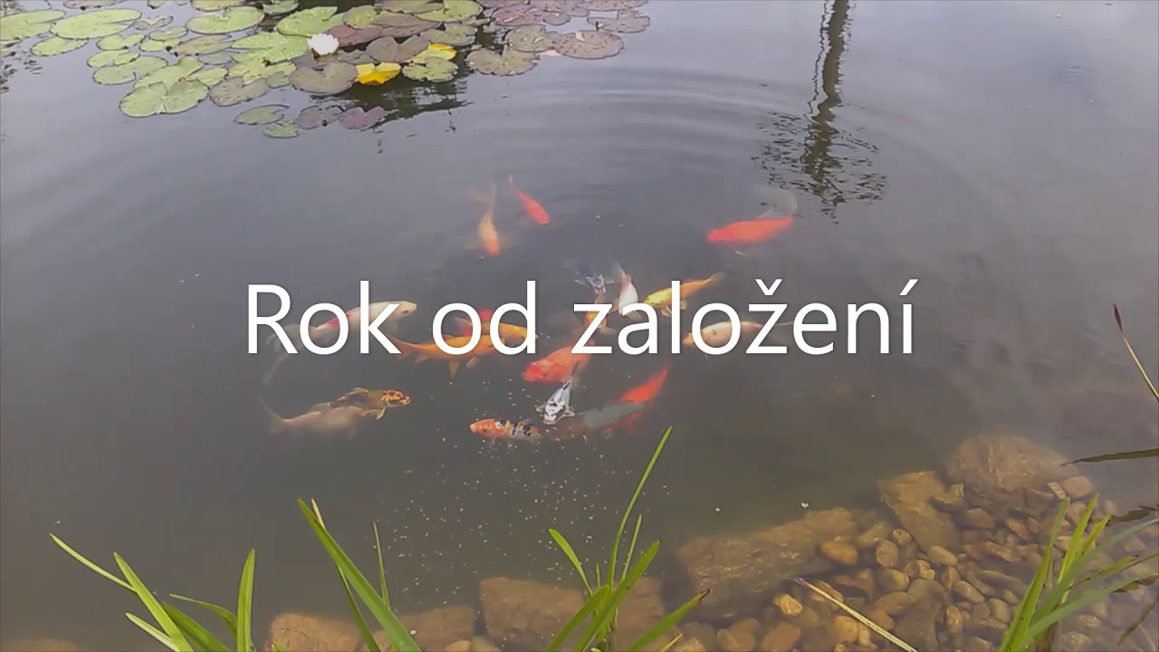 Stavba jezírka