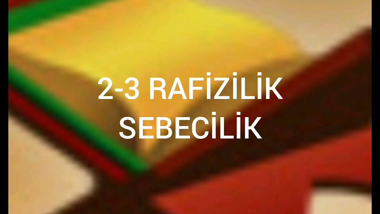 Rafizilik Sebe&ccedil;ilik 2-3