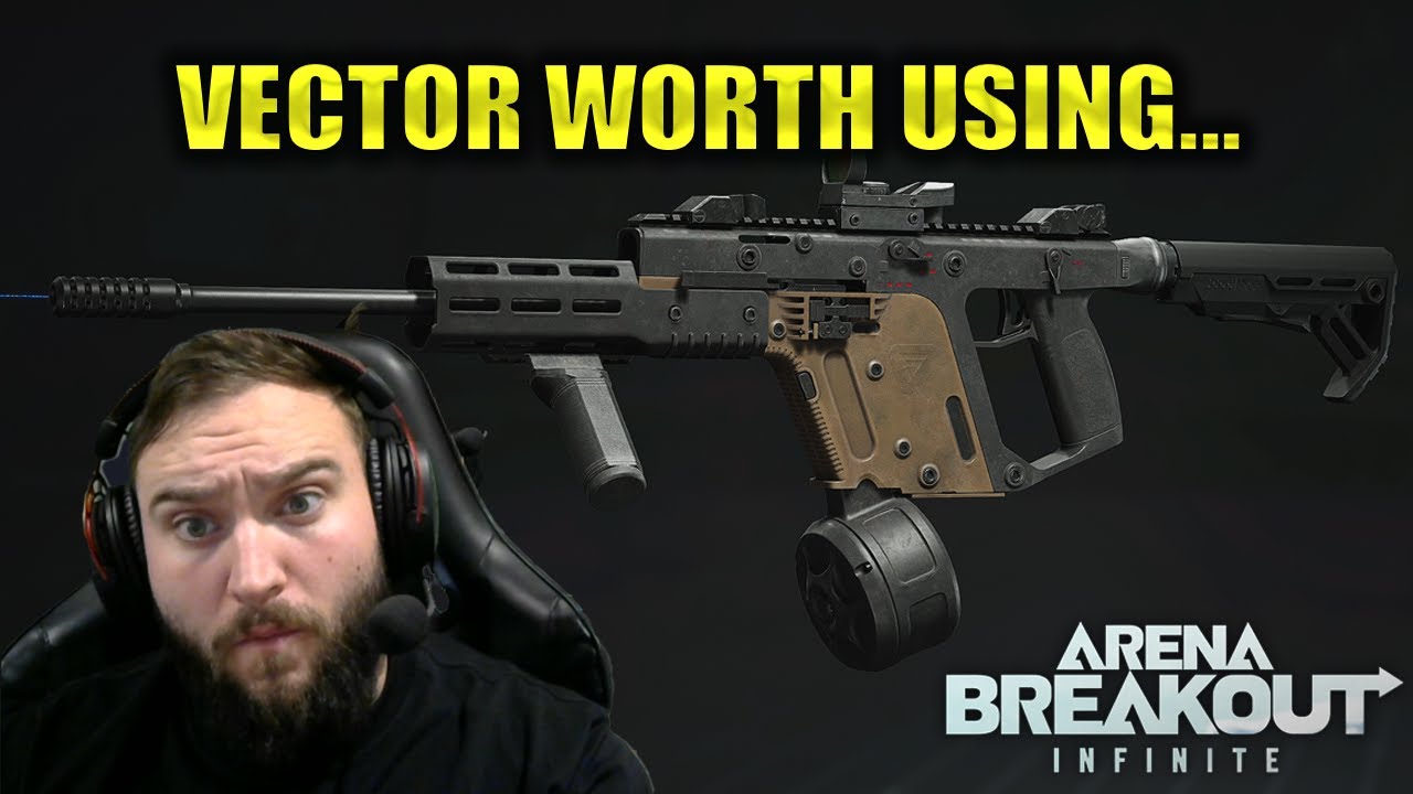 VECTOR 45 BEST BUILD AND REVIEW - FULL BREAKDOWN - ARENA BREAKOUT INFINITE