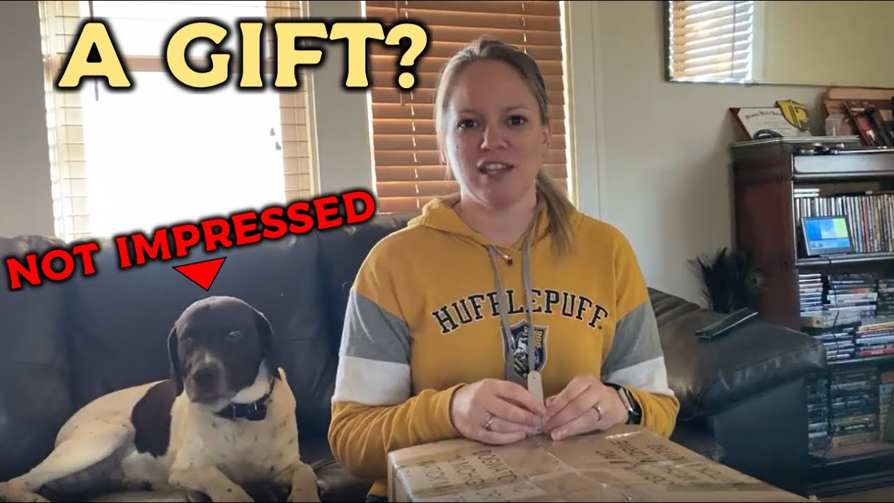 Viewer Gift Opening and WWW Excavator Challenge