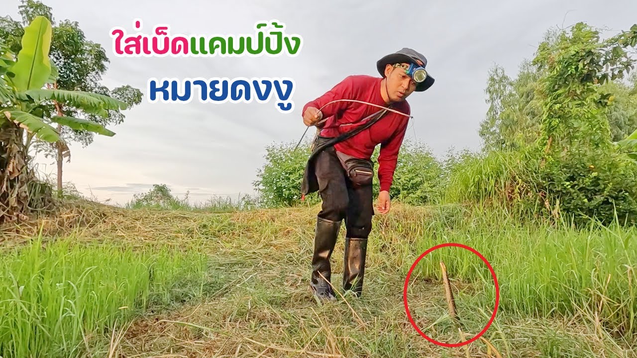 ตั้งแคมป์ใส่เบ็ดนอนนา หมายดงงู ประวัติศาสตร์ต้องจารึกอีกแล้ว บรรยากาศสวยงามเหลือเกิน ฮ่าๆ