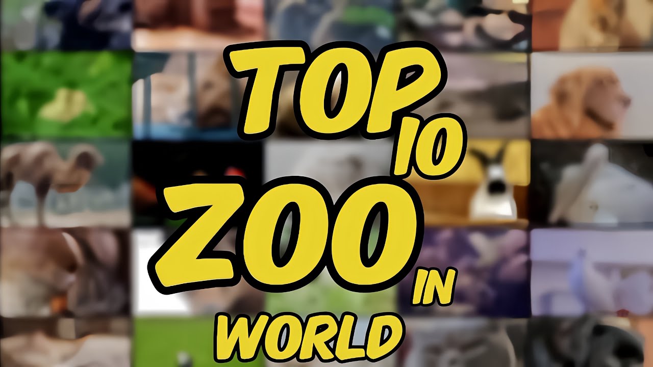 Top Ten Zoo // Famous zoo in the world