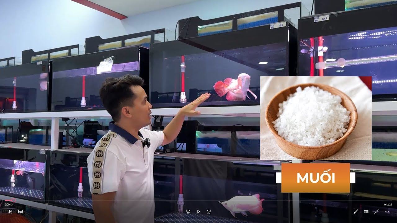Lạm dụng muối khi chăm cá sẽ gây hậu quả gì?