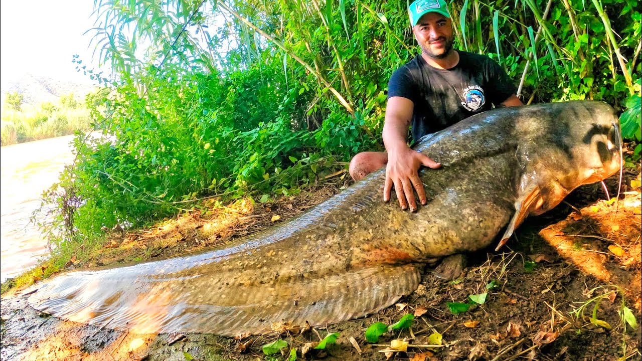 Siluro gigante 2,52 a spinning desde kayak