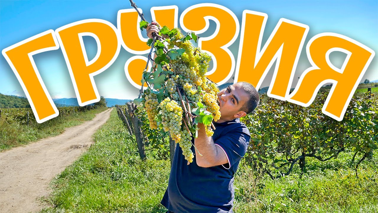 ВИНОДЕЛИЕ в Грузии.Кахетия-родина ВИНА. РТВЕЛИ-праздник сбора урожая ВИНОГРАДА. Гастротур по ГРУЗИИ.