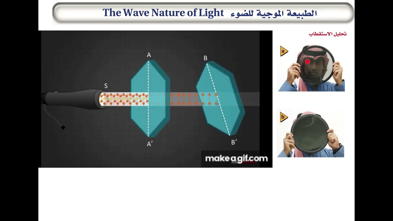 الطبيعة الموجية للضوء - استقطاب الضوء - سرعة الموجات الضوئية 