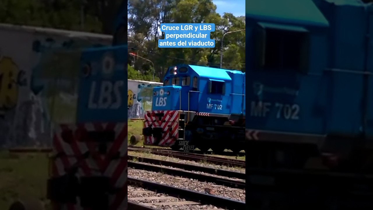 L&iacute;nea Belgrano Sur