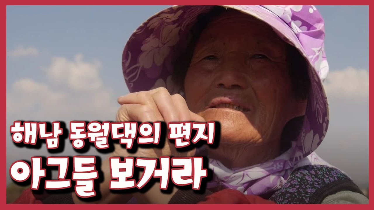 [남도지오그래피] 아그들 보거라, 해남 동월댁의 편지｜KBS 151028 방송