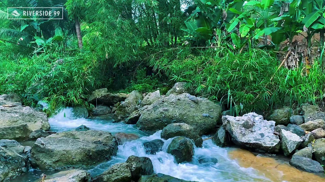 Fall Asleep Fast with River Sounds | Gentle Flowing Water for Deep Sleep