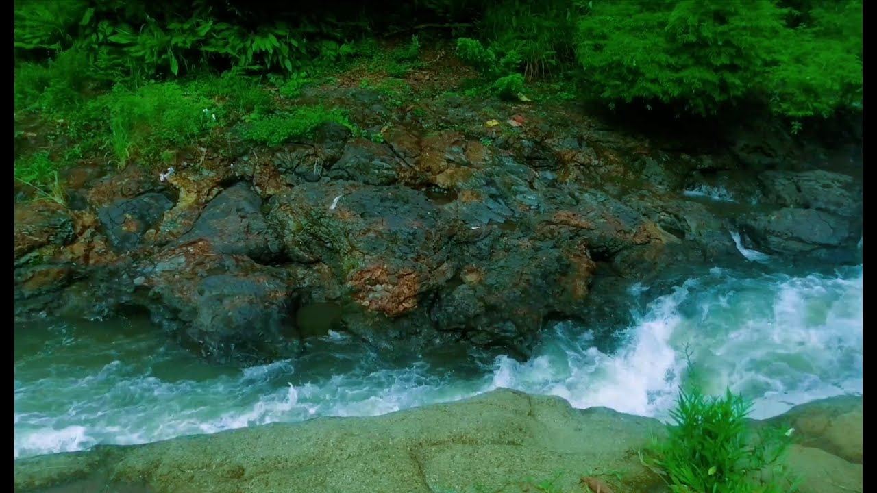 Tranquil River Ambience – Soft Stream and Forest Sounds for Deep Sleep and Inner Peace