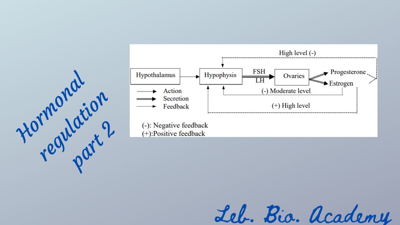 zoom session June 7th, 2021: 2020 Hormonal regulation part 2