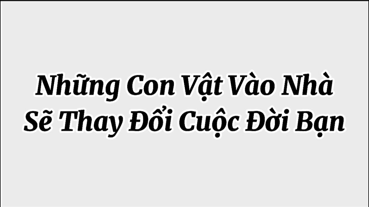 Những con vật vào nhà sẽ làm “Thay Đổi Cuộc Đời” bạn