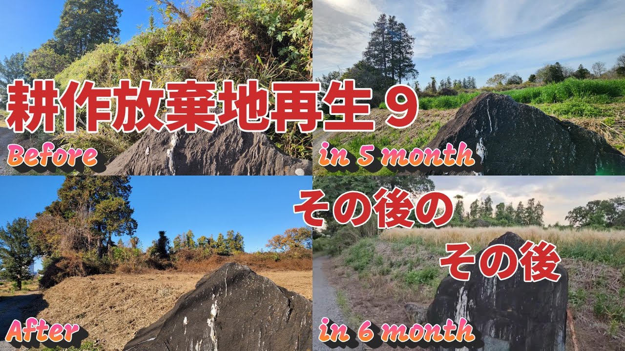 【耕作放棄地再生9その後のその後】耕作放棄地再生をした場所の　その後のその後を見に行ってきた！