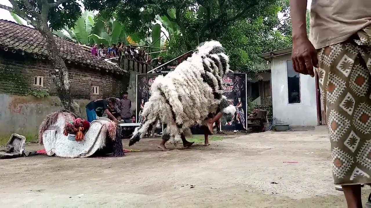 kasih nama jaranan Gading sakti(2)