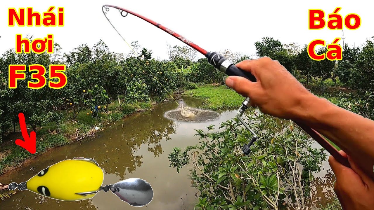 Lần đầu c&acirc;u Lure bằng Nh&aacute;i Hơi F35 v&agrave; c&aacute;i kết
