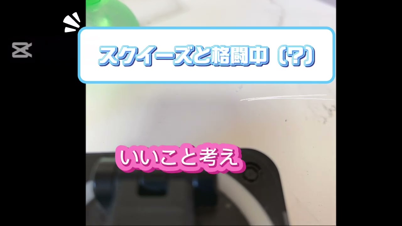 スクイーズ紹介ദ്ദി＞ᴗ＜)🎀✧