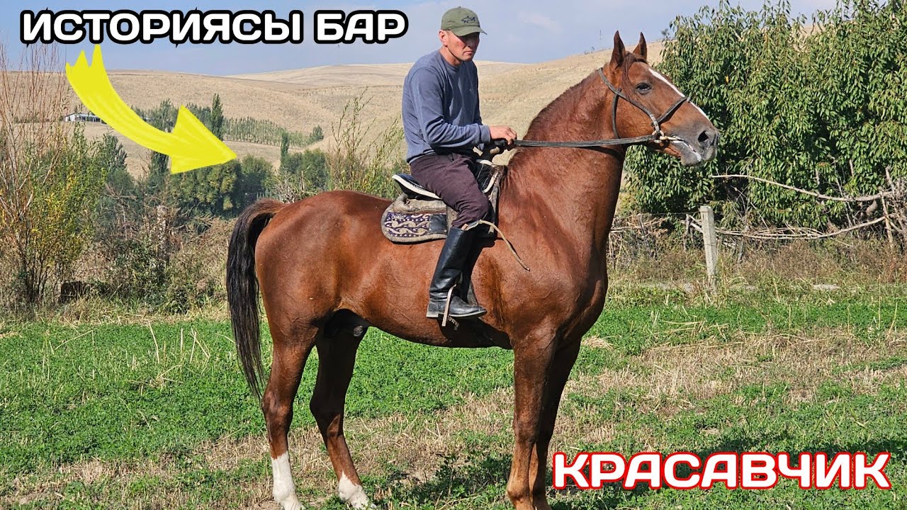 тарыхы бар КРАСАВЧИК 🇰🇬10 октября 2024 г.
