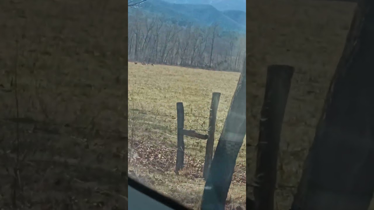 Part 1 of cade cove. 