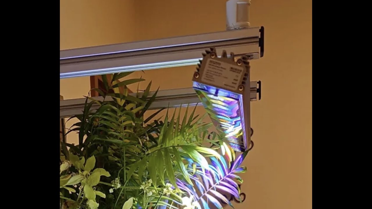 Rampe LED connectée Orphek OR4 eau douce bac planté