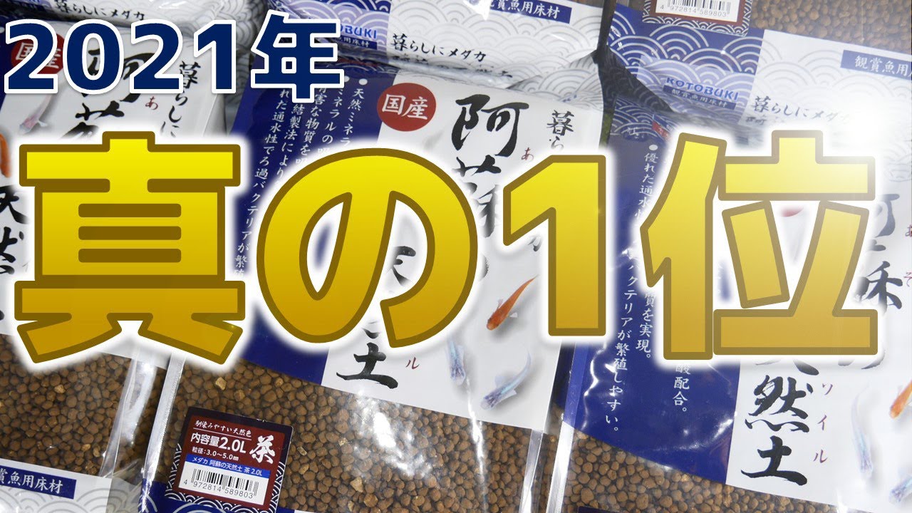2021年の最優秀商品。外部に入れても全然型崩れしないから、3カ月ベアタンクでもpHを5にキープする。粉が出ず透明な水で楽しめます！コトブキ 暮らしにメダカ 阿蘇の天然土 茶【ふぶきテトラ】