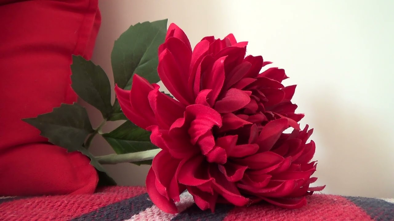 Cesta DVOJPLAMENE / jak funguje proces uzdravování - 2. část