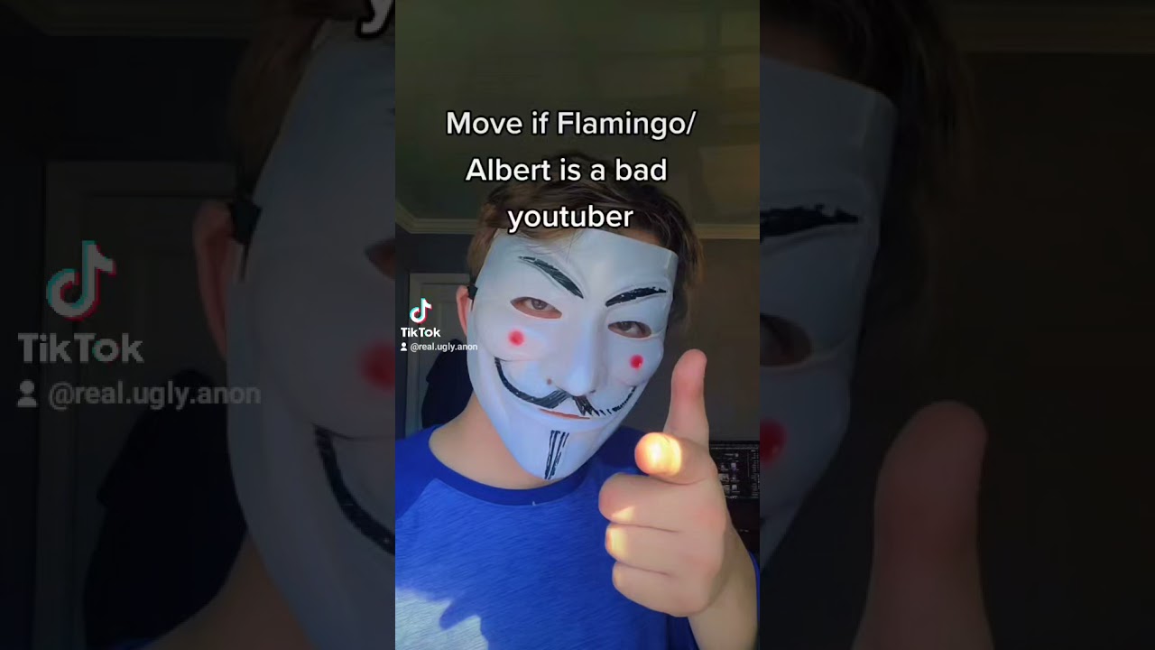 Move if Flamingo/Albert is a bad youtuber..