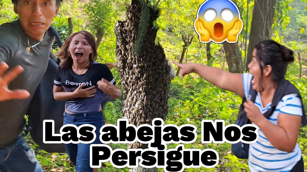 💔Rosi y Ever salen Corriendo😱Los Persigue Grandes abispas😭